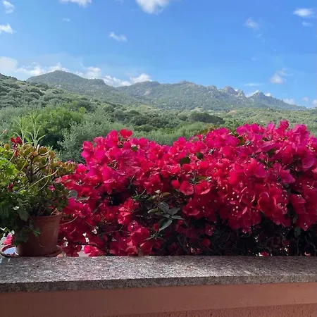 Casa Angelo *
