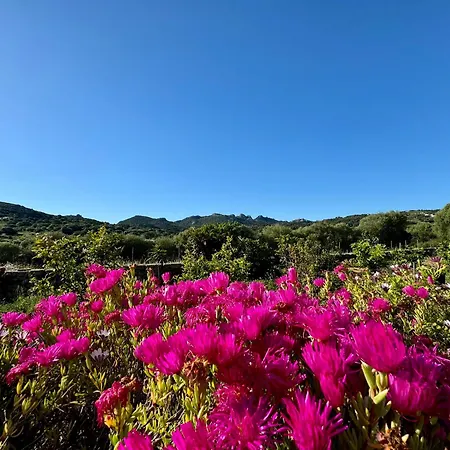 Apartment Casa Angelo Palau