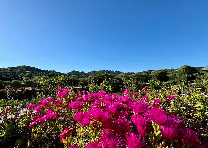 Apartment Casa Angelo Palau